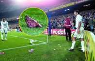 Louis Figo pig picture Real Madrid vs Barcelona